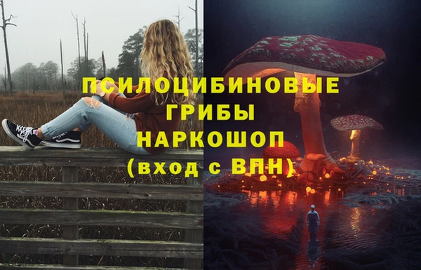 спиды Алзамай