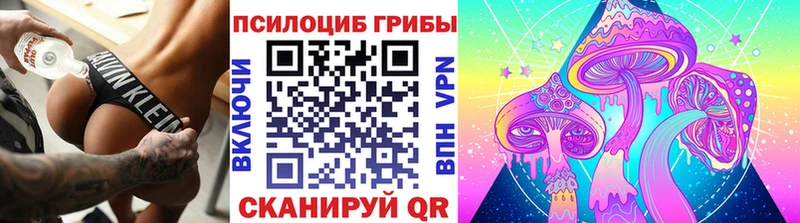 Псилоцибиновые грибы прущие грибы  Анапа 